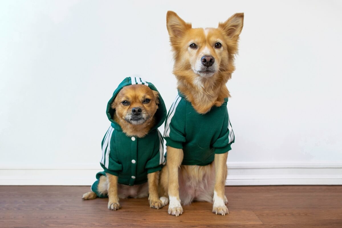 Pet Clothes Patterns